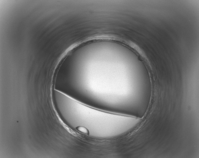 X0000080711237200612150854