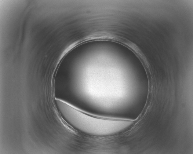 X0000080711242200612150854