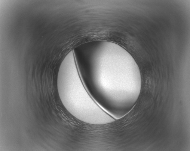 X0000080711250200612150853
