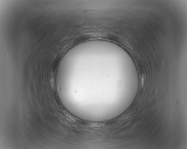 X0000080711251200612150853