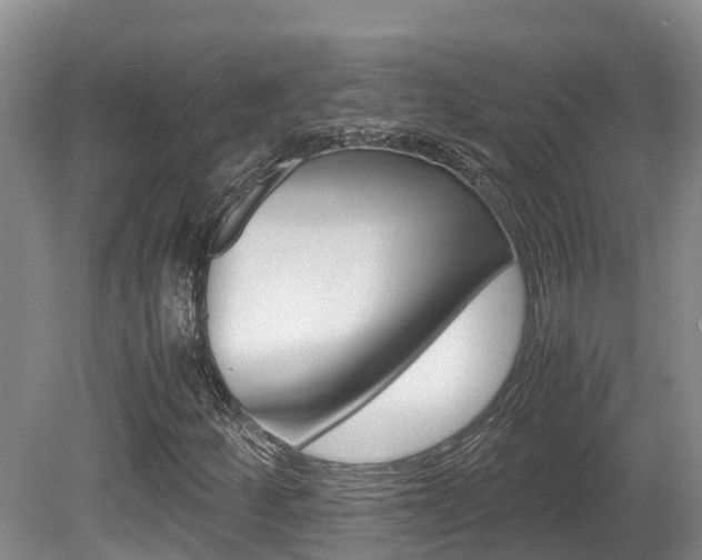 X0000080711252200612150853