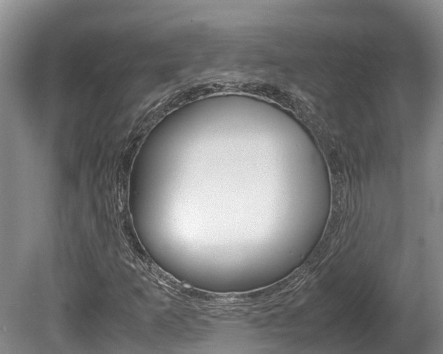 X0000080711253200612150853