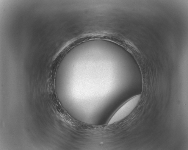 X0000080711256200612150853