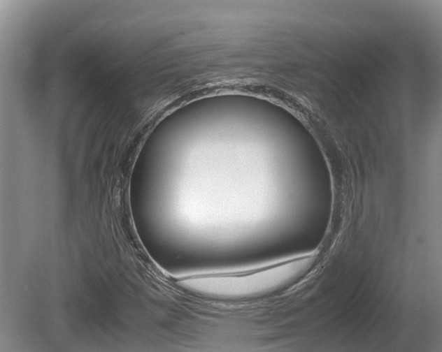 X0000080711257200612150853