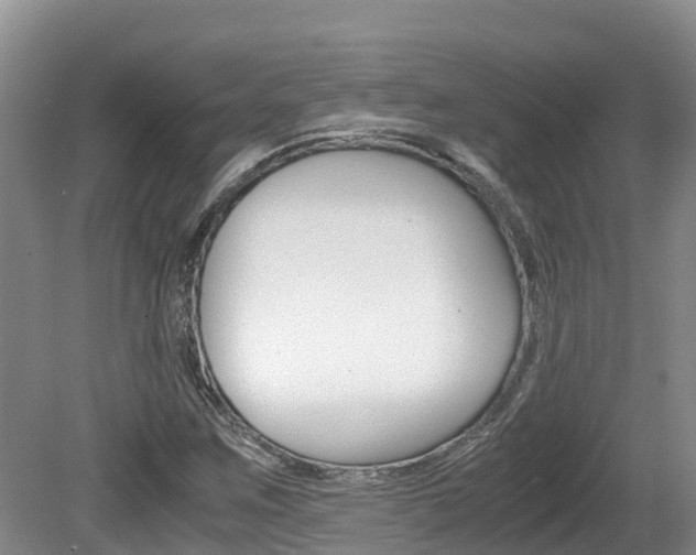 X0000080711259200612150853