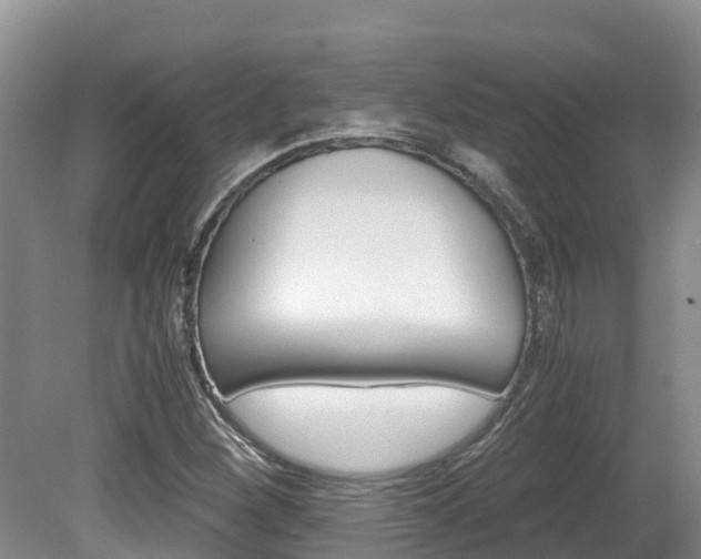 X0000080711260200612150853