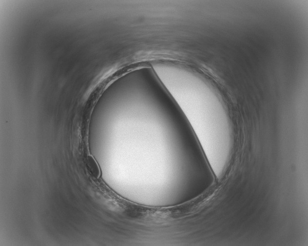 X0000080711261200612150853