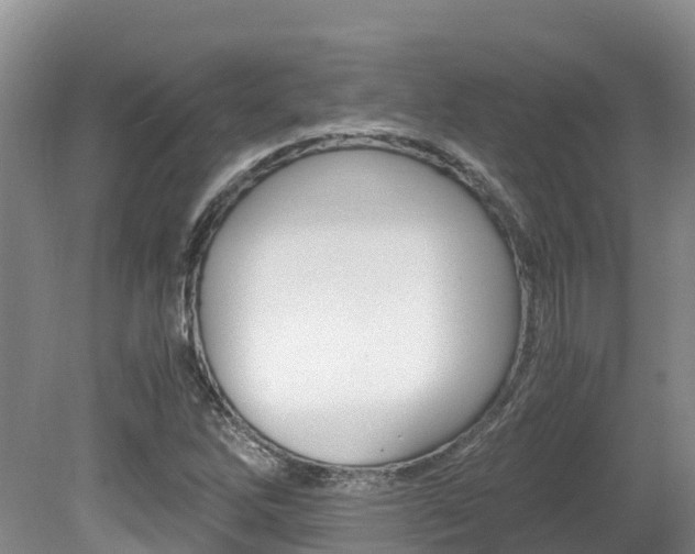 X0000080711262200612150853