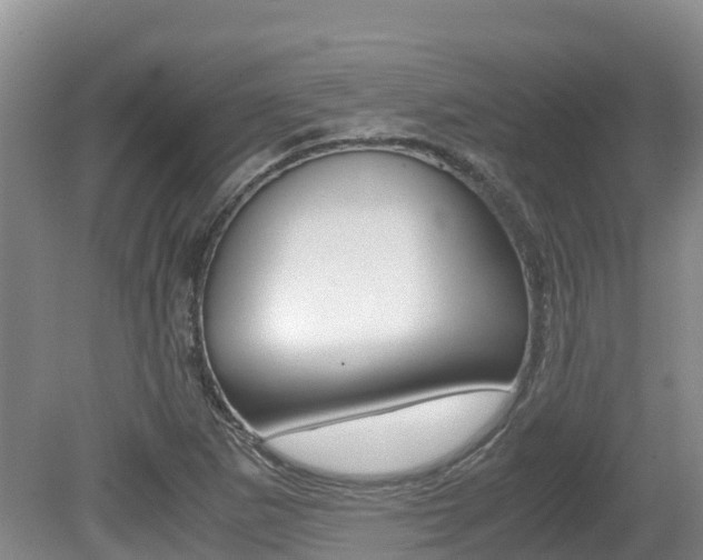 X0000080711265200612150853