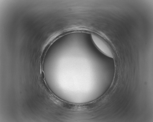 X0000080711269200612150853