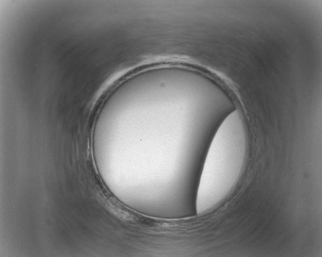 X0000080711271200612150853