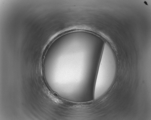 X0000080711272200612150853