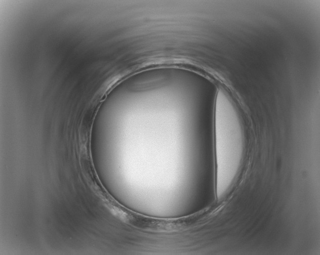 X0000080711273200612150853