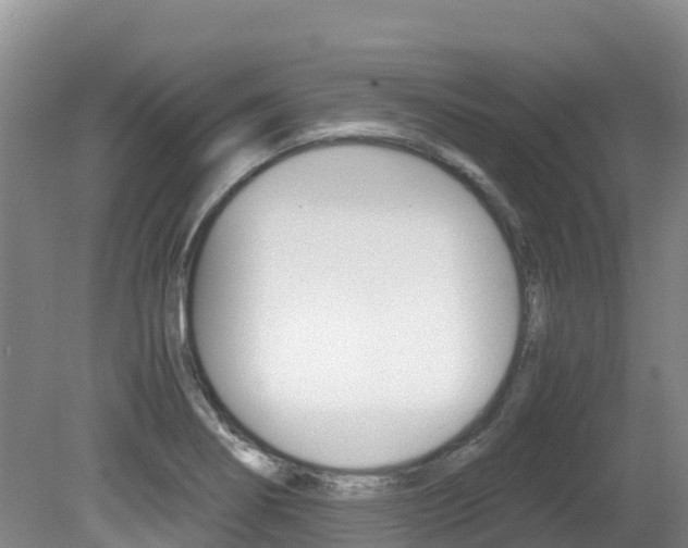 X0000080711274200612150853