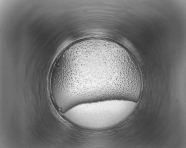 X0000080711283200612150853