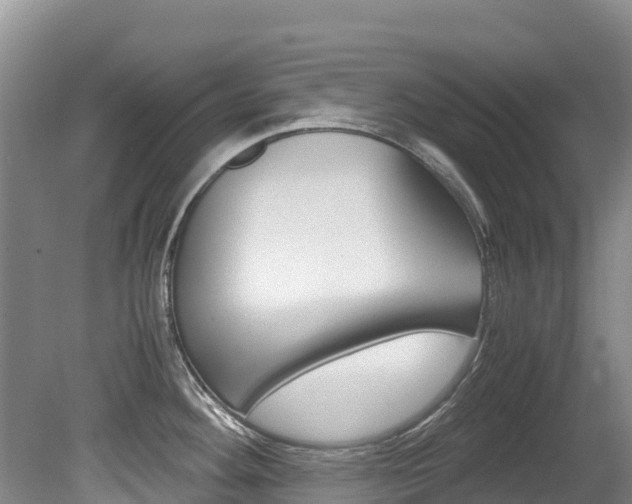 X0000080711292200612150853