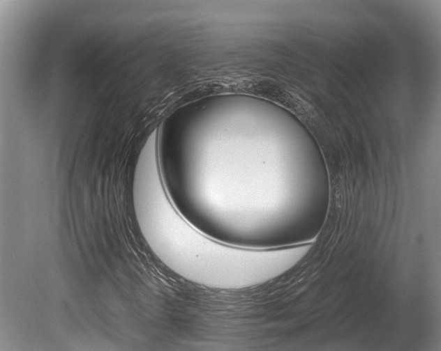 X0000080711298200612150852