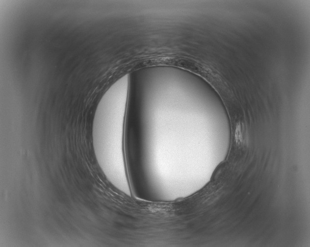 X0000080711299200612150852