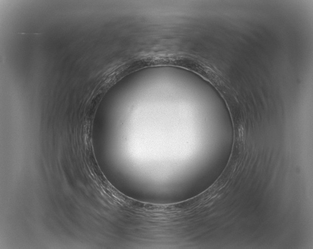 X0000080711300200612150852