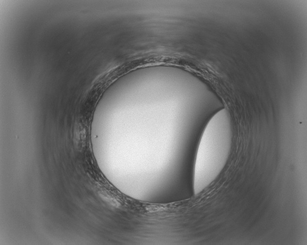 X0000080711302200612150852