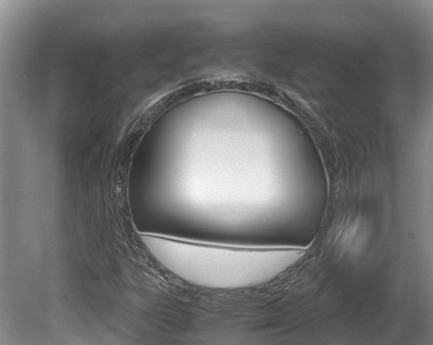 X0000080711303200612150852