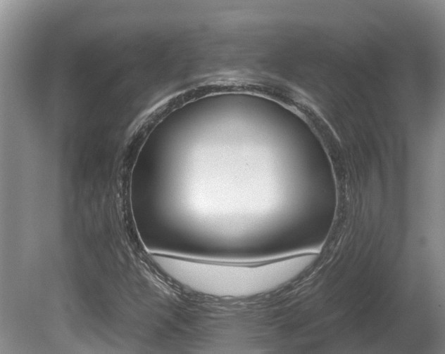 X0000080711304200612150852