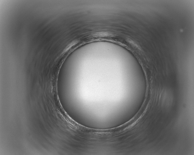 X0000080711305200612150852