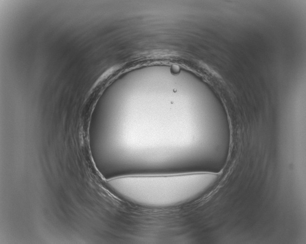 X0000080711306200612150852