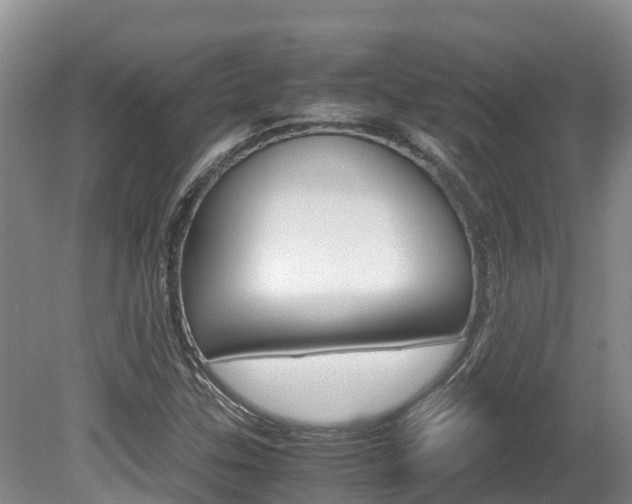 X0000080711307200612150852