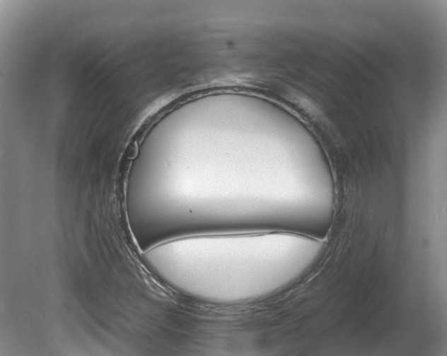 X0000080711308200612150852