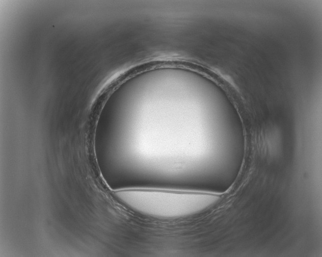 X0000080711311200612150852