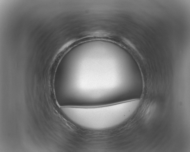 X0000080711315200612150852