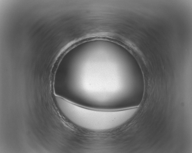 X0000080711316200612150852