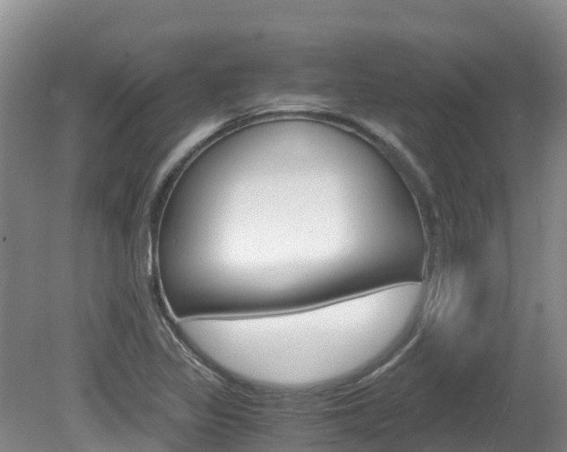 X0000080711317200612150852
