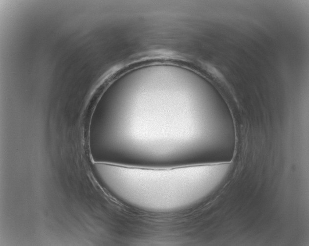 X0000080711318200612150852