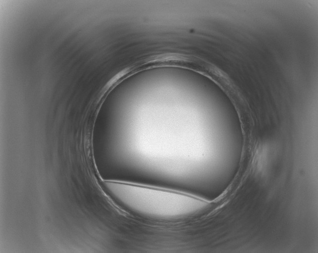 X0000080711321200612150852