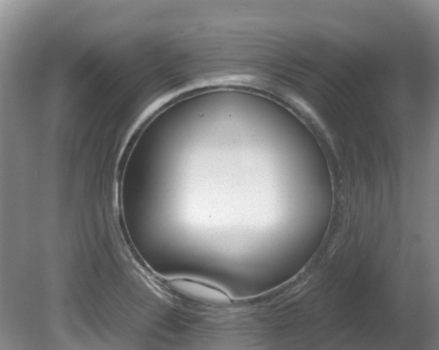 X0000080711324200612150852
