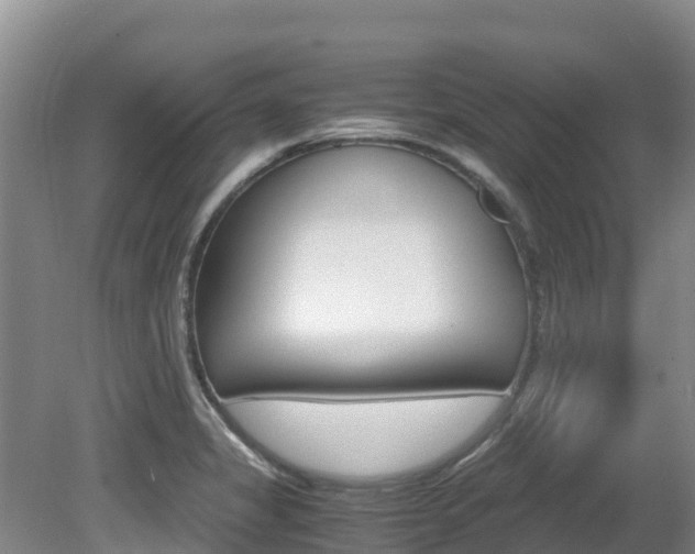X0000080711325200612150852