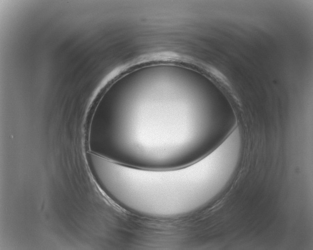X0000080711326200612150852