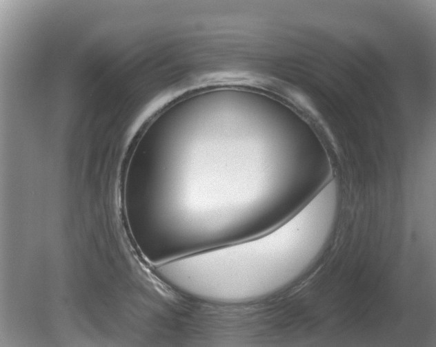 X0000080711328200612150852