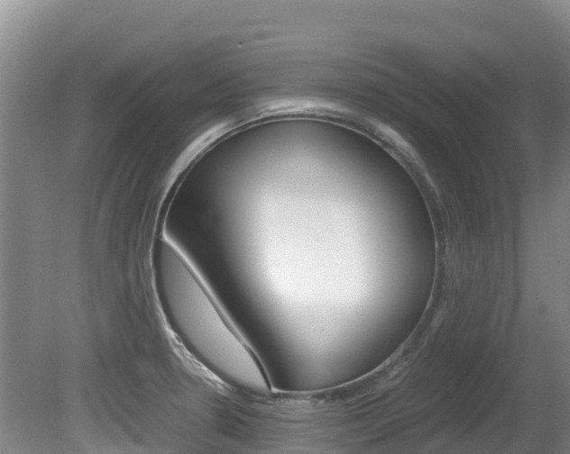 X0000080711330200612150852