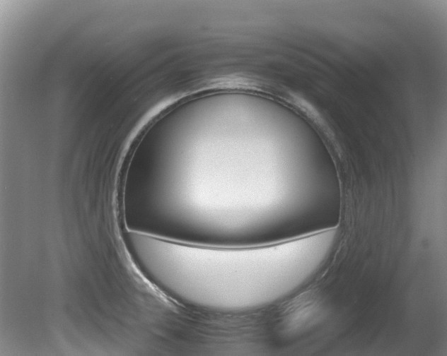X0000080711331200612150852