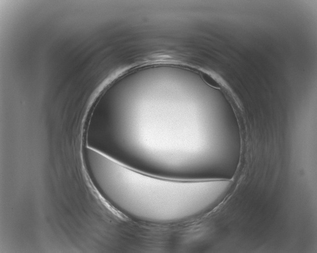 X0000080711333200612150852