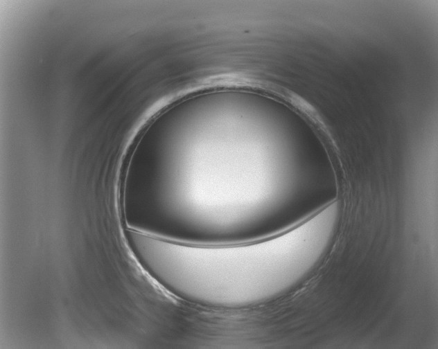 X0000080711334200612150852