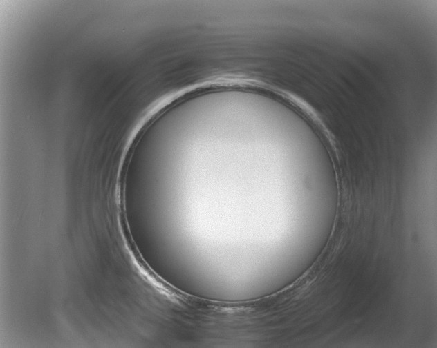 X0000080711335200612150852