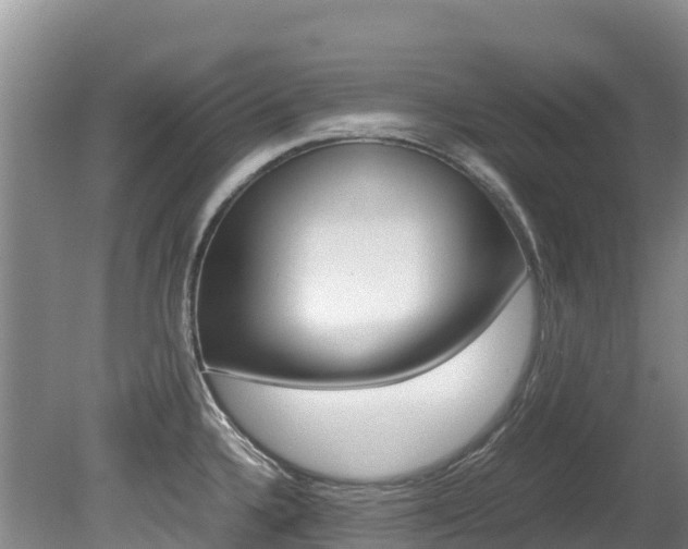 X0000080711336200612150852