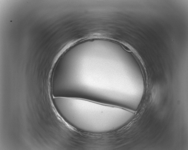 X0000080711341200612150853