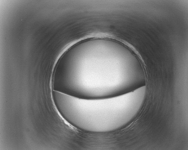 X0000080711343200612150853
