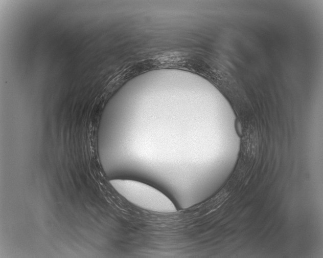 X0000080711346200612150852