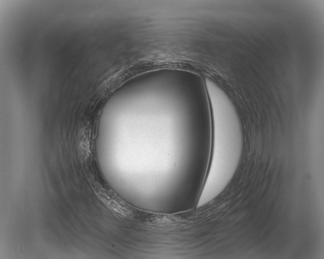 X0000080711348200612150852